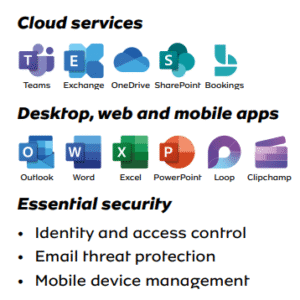 MS Office 365 Business Standard /User / Month
